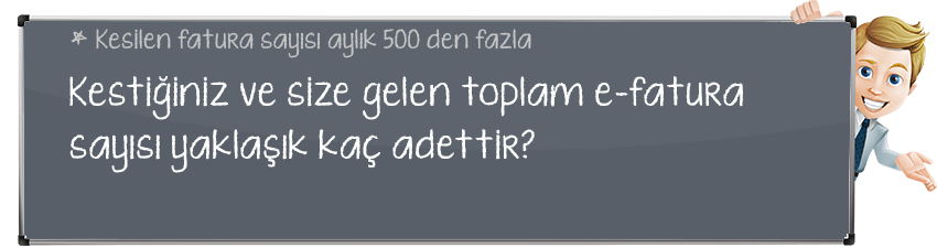 Aylık kestiğiniz + aldığınız efatura sayısı kaçtır?