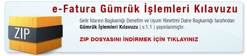 Gümrük İşlemleri Kılavuzu ZIP dosyasını indirin